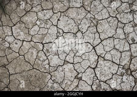 Drought cracked land. Water crisis concept, seasonal water scarcity. Dried soil texture. Stock Photo