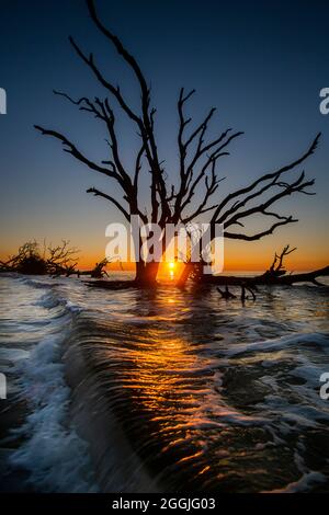 Boneyard Beach at Botany Bay in Edisto Island, South Carolina. Stock Photo