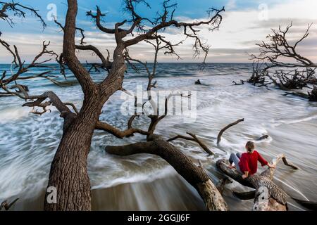 Boneyard Beach at Botany Bay in Edisto Island, South Carolina. Stock Photo