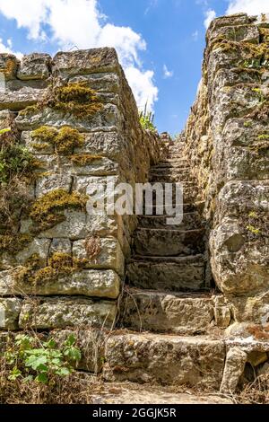Europe, Germany, Baden-Wuerttemberg, Erligheim, old stone stairs in the steep vineyard Stock Photo