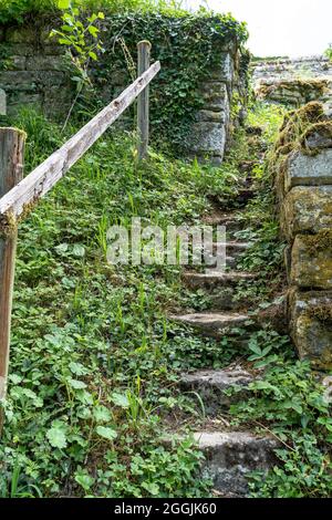 Europe, Germany, Baden-Wuerttemberg, Erligheim, old stone stairs in the steep vineyard Stock Photo