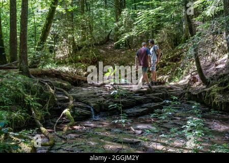 Europe, Germany, Baden-Wuerttemberg, Swabian-Franconian Forest Nature Park, Welzheim, hikers at the Edenbach in the Edenbachtal Stock Photo