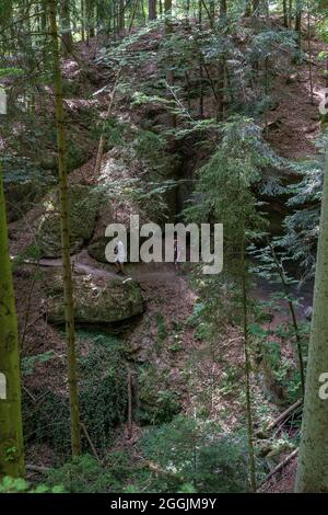 Europe, Germany, Baden-Wuerttemberg, Swabian-Franconian Forest Nature Park, Welzheim, hikers in the money maker in the Swabian Forest Stock Photo