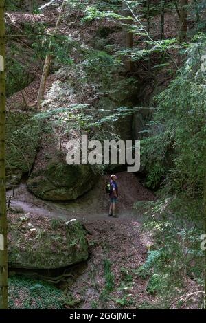 Europe, Germany, Baden-Wuerttemberg, Swabian-Franconian Forest Nature Park, Welzheim, hikers in the money maker in the Swabian Forest Stock Photo