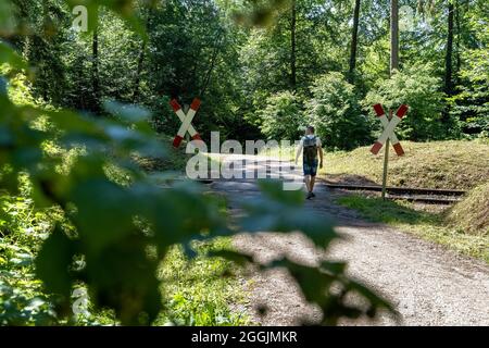 Europe, Germany, Baden-Wuerttemberg, Swabian-Franconian Forest, Welzheim, premium hiking trail FeenSpuren Roman Forest, hikers at a level crossing of the Swabian Forest Railway Stock Photo