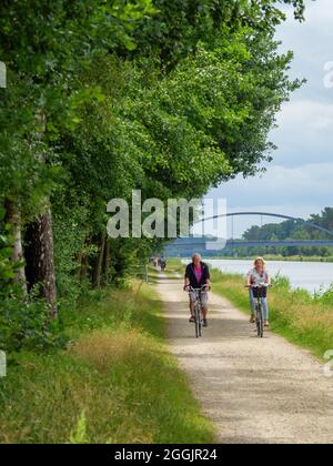 Riverside path with cyclists, branch canal Osnabrück, Osnabrücker Land, Lower Saxony, Germany Stock Photo