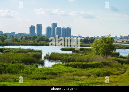 Vacaresti Natural Reserve is situated in an old foundation of an artificial lake which got invaded by vegetation and formed an independent ecosystem. Stock Photo