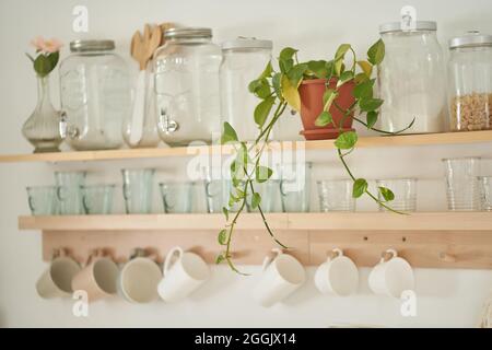 Selective attention is paid to flowers in pots. A set of empty glass jars. A white jug. Beautiful kitchen interior, decor.The concept of proper storage. High quality photo
