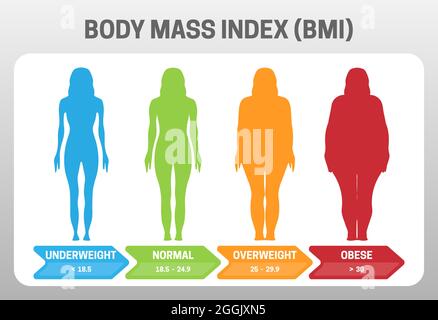 BMI Body Mass Index Vector Illustration with Woman Silhouette from Underweight to Obese. Obesity degrees with different weight. Stock Vector