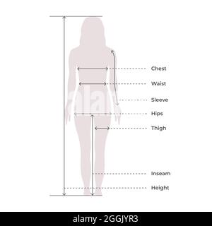 Female size chart anatomy human character, people dummy front and