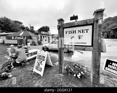 blue hill maine the fish net Line – Hellbender Nets FISH NET, Blue Hill -