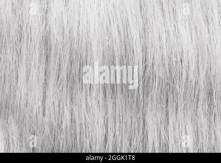 Gray-white synthetic fiber background. Texture, fiber or hair pattern Stock Photo