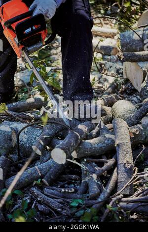 Close-up of a chainsaw cutting wood Stock Photo