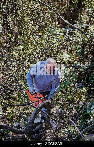 An old man is chopping wood in the garden at home. Stock Photo