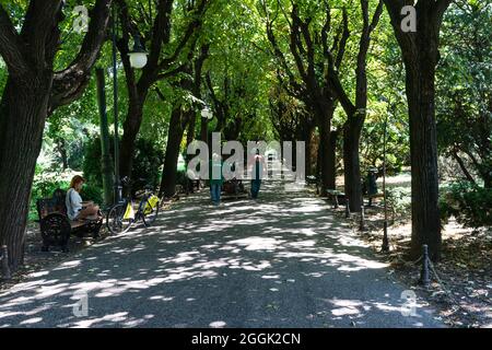 Maintenance of public park and gardens. Municipal workers cleaning public park Cismigiu Gardens in Bucharest, Romania, 2021 Stock Photo