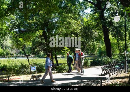 Maintenance of public park and gardens. Municipal workers cleaning public park Cismigiu Gardens in Bucharest, Romania, 2021 Stock Photo
