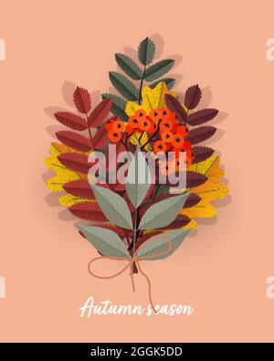Bouquet of colored autumn leaves and rowan twig berries. Vector isolated illustration Stock Vector