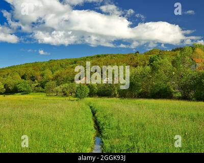 Europe, Germany, Hesse, Lahn-Dill-Bergland Nature Park, the Salzböde as a tributary of the Lahn at Salzböden, view to the beautiful mill Stock Photo