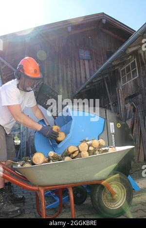young man cuts firewood with a circular saw, circular saw, hard hat, protective device, wheelbarrow Stock Photo