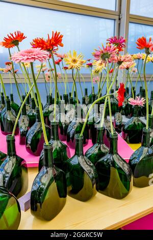 Gerbera, individually in bottles, Flower Hall, Inspiration Nature, State Garden Show, Ingolstadt 2020, new term 2021, Ingolstadt, Bavaria, Germany, Europe Stock Photo