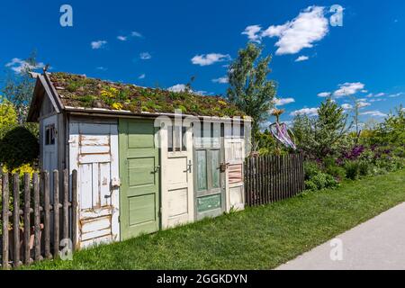 Tool shed made of old doors with a planted roof, Inspiration Nature, State Garden Show, Ingolstadt 2020, new term 2021, Ingolstadt, Bavaria, Germany, Europe Stock Photo
