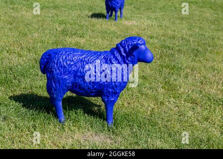 Blue Sheep, Inspiration Agriculture, Inspiration Nature, State Garden Show, Ingolstadt 2020, New Duration 2021, Ingolstadt, Bavaria, Germany, Europe Stock Photo