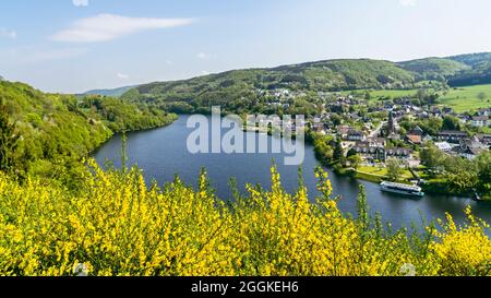 View of Einruhr am Rursee, blooming gister in the foreground Stock Photo