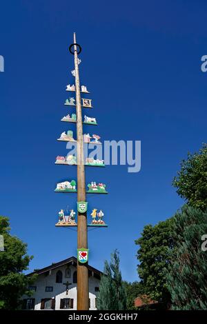 Germany, Bavaria, Upper Bavaria, Chiemgau, Seeon, maypole Stock Photo