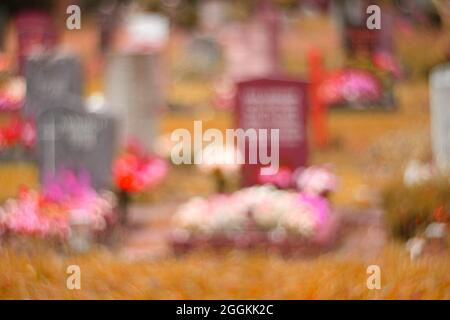 Cemetery in Pink / Flowerpower funeral. Stock Photo