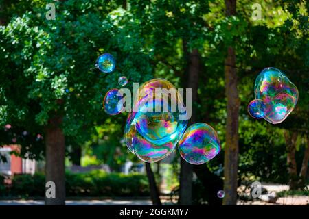 Iridescent soap bubbles float through the air, Mecklenburg-Western Pomerania, Germany Stock Photo