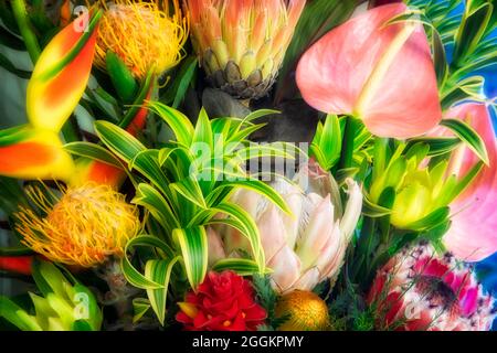 Display of tropical flowers. bouquet of tropical flowers Maui, Hawaii Stock Photo
