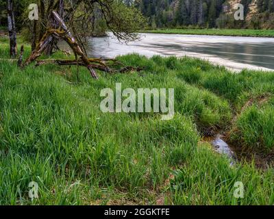 Dead wood, alluvial forest, steep bank, gravel bank, hilly landscape, moraine landscape, young moraine land, river bend, Bavarian Pfaffenwinkel, atmospheric, calm, soul food, nature reserve, river valley, gravel bank, river, flowing water Stock Photo