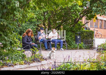 View of two men and woman with dog on benches in green city park. Stock Photo