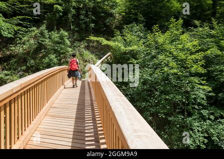 Hiker on the 1st Vienna Water Pipeline Trail, the hiking trail leads in the Höllental over a bridge over the Schwarza, between Hirschwang and Kaiserbrunn, Lower Austria, Austria Stock Photo