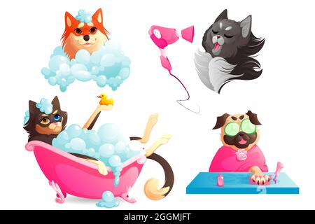 Dogs spa and grooming service, funny puppies enjoying salon procedures, pets drying hair with fan, manicure nails care, doggy take bath in tub with shampoo bubbles. Animals hygiene Cartoon vector set Stock Vector