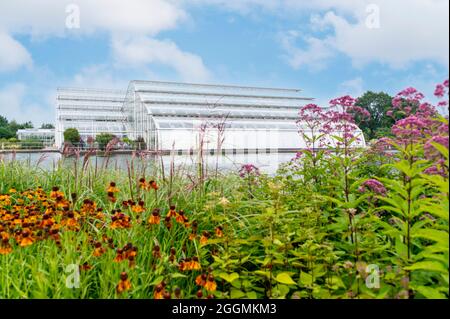 The Glasshouse at the Royal Horticultural Society's garden Wisley. Stock Photo