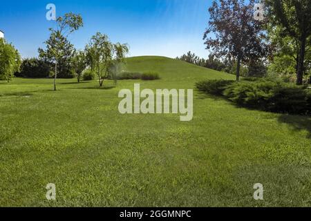 Summer landscape with hill covered with green grass surrounded by trees