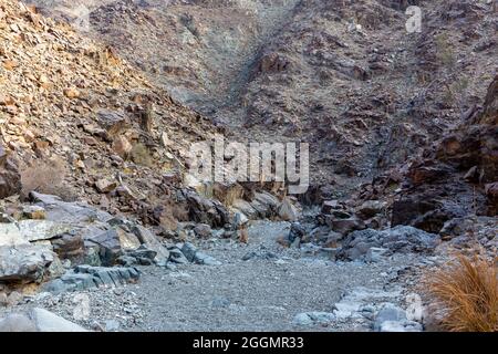 Stony, dry riverbed (wadi) with remains of raw ore of copper, green stones and rocks, Copper Hike Trail, Hatta, Hajar Mountains, UAE. Stock Photo