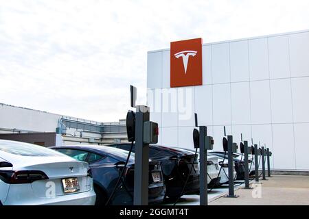 Tesla logo on the side of a building, seen behind a row of charing Tesla Model 3's and Y's, ready to be test driven from the storefront. Stock Photo