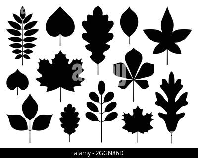 Autumn Leaves Shapes Silhouettes Outline Icons Set Stock Vector