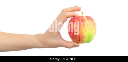 Fresh red and yellow apple in hand isolated on a white background, banner Stock Photo