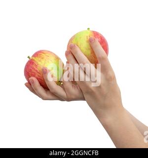 Two red apples in hand isolated on a white background Stock Photo