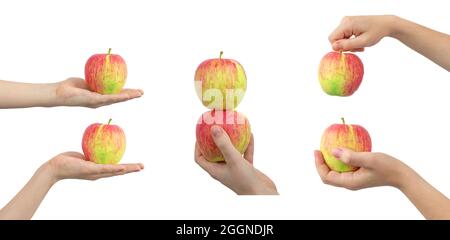 Big collage ripe red apple in hand, woman holding apple, isolated on a white background Stock Photo