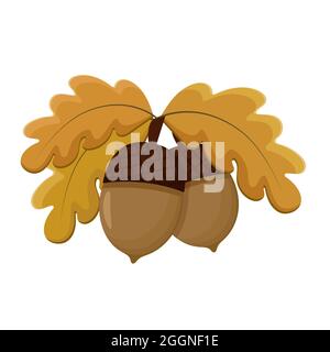 A pair of acorns on a branch with yellowed leaves vector illustration. Stock Vector