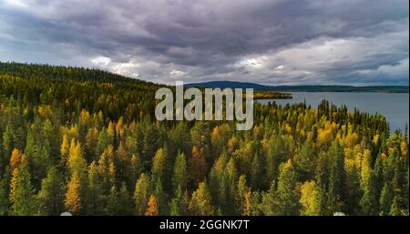 Autumn color forest lapland Stock Photo