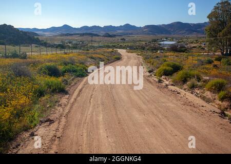 Endless Path: A Winding Sand Road Through Namaqualand’s Rugged Beauty Stock Photo