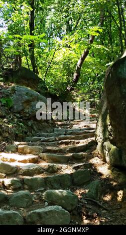 Way with stone stairs up in between rocks and trees in forest, Bukhansan National Park Stock Photo