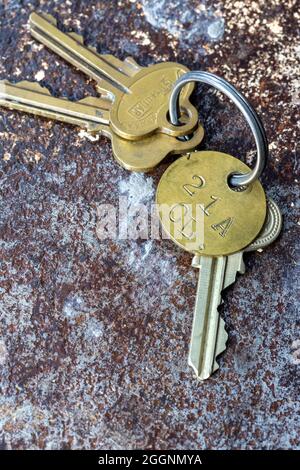 Vintage Keys on a Split Ring Stock Photo