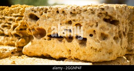 The porous structure of shell rock bricks. Close-up. texture. Natural building material. Stock Photo