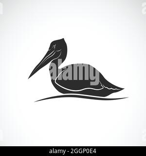 Vector of Spot-billed pelican bird (Pelecanus philippensis) on white background. Wild Animals. Easy editable layered vector illustration. Stock Vector